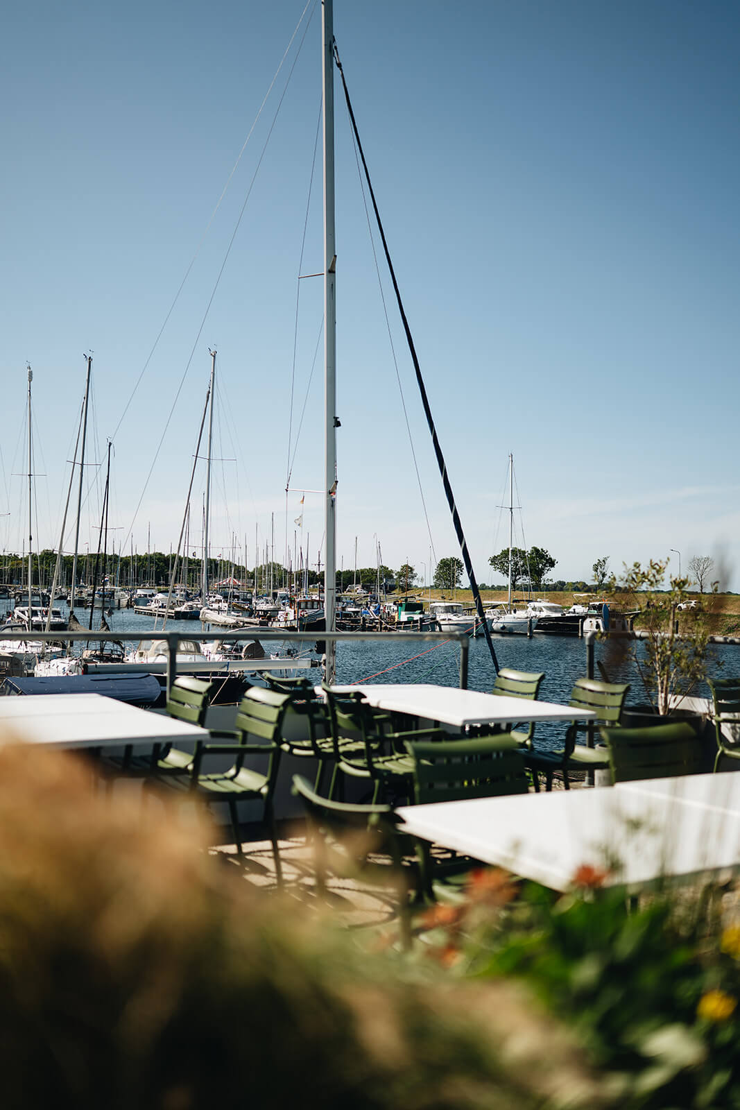 Brasserie Fine